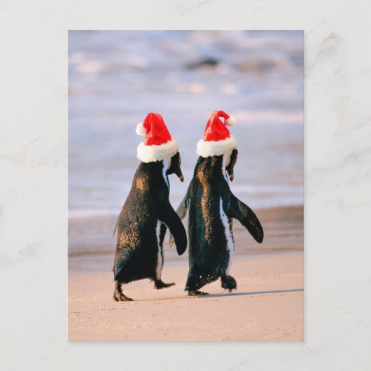 Pinguïns in kerstmannenmutsen op het strand feestdagenkaart (Voorkant)