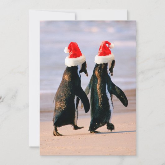 Pinguïns in kerstmannenmutsen op het strand feestdagenkaart (Voorkant)