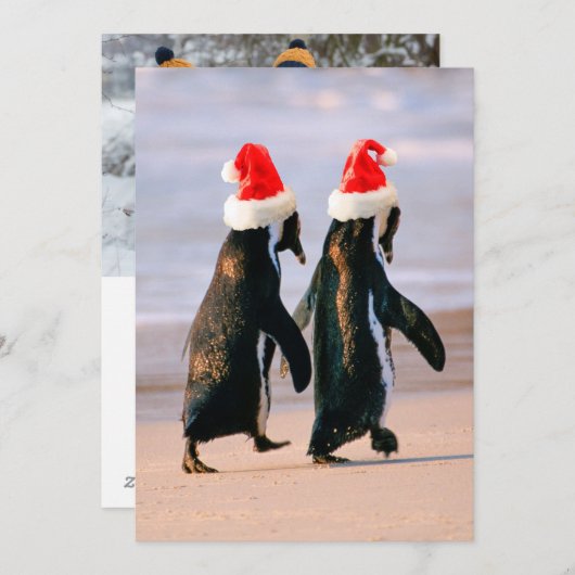 Pinguïns in kerstmannenmutsen op het strand feestdagenkaart (Voorkant / Achterkant)