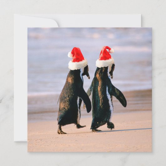 Pinguïns in kerstmannenmutsen op het strand feestdagenkaart (Voorkant)