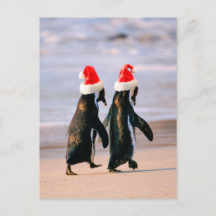 Pinguïns in Santa Hats op het strand Feestdagenkaart