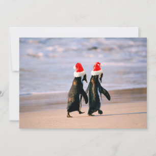 Pinguïns in Santa Hats op het strand Feestdagenkaart
