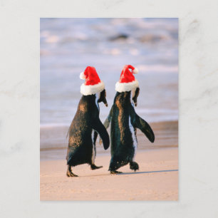 Pinguïns in Santa hoeden op het strand Feestdagenkaart