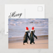 Pinguïns in Santa hoeden op het strand Feestdagenkaart (Voorkant / Achterkant)