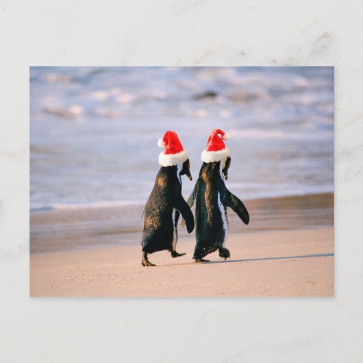 Pinguïns in Santa hoeden op het strand Feestdagenkaart (Voorkant)