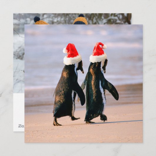 Pinguïns in Santa hoeden op het strand Feestdagenkaart (Voorkant / Achterkant)