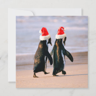 Pinguïns in Santa hoeden op het strand Feestdagenkaart