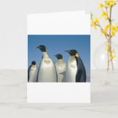 PINGUÏNS KAART (Gele Bloem)