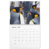 pinguïns kalender (Feb 2027)