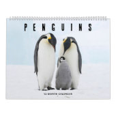 pinguïns kalender (Hoes)