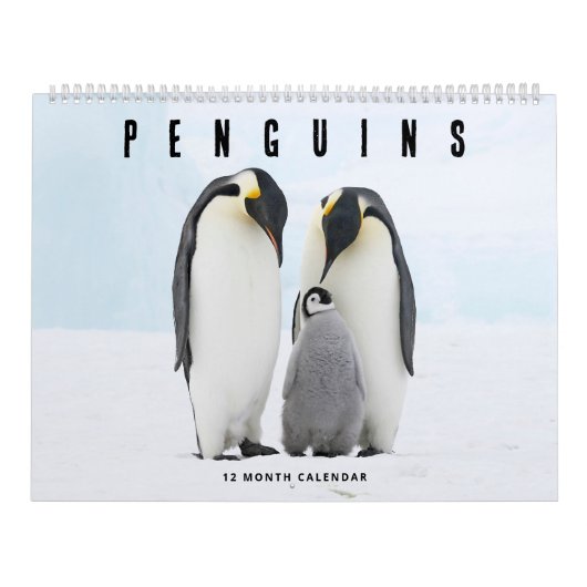 pinguïns kalender (Hoes)