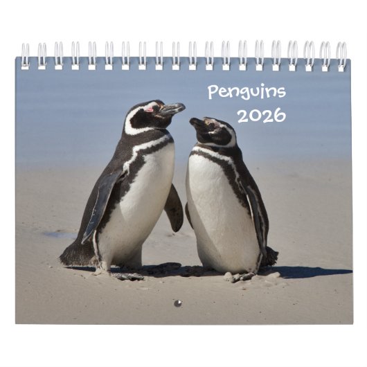 Pinguïns kalender (Hoes)