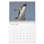 Pinguïns kalender (Jan 2027)
