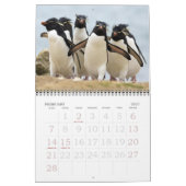 pinguïns kalender (Feb 2027)