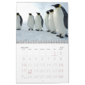 pinguïns kalender (Jan 2027)