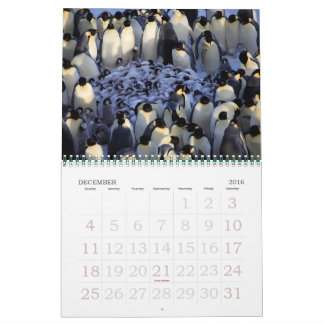 pinguïns kalender
