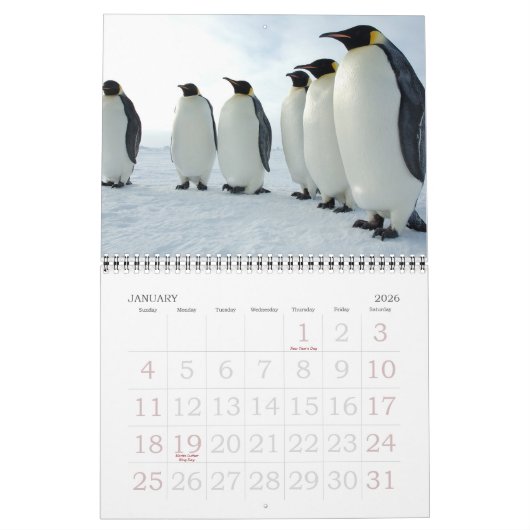 pinguïns kalender (Jan 2026)