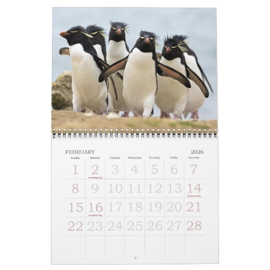 pinguïns kalender (Feb 2026)