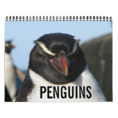 pinguïns kalender (Hoes)