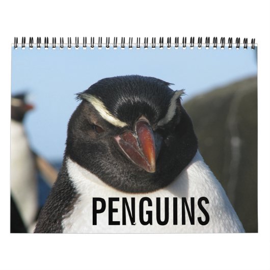 pinguïns kalender (Hoes)