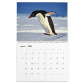 Pinguïns kalender (Mar 2026)