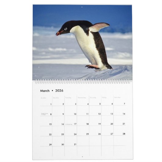 Pinguïns kalender (Mar 2026)