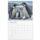Pinguïns kalender (Feb 2027)