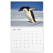 Pinguïns kalender (Mar 2027)