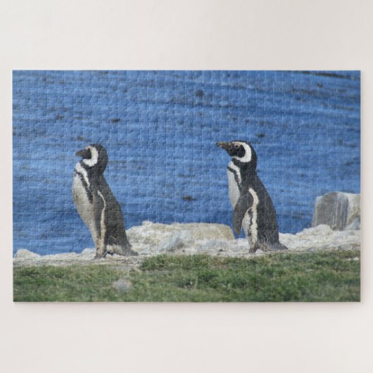 pinguïns legpuzzel (Horizontaal)