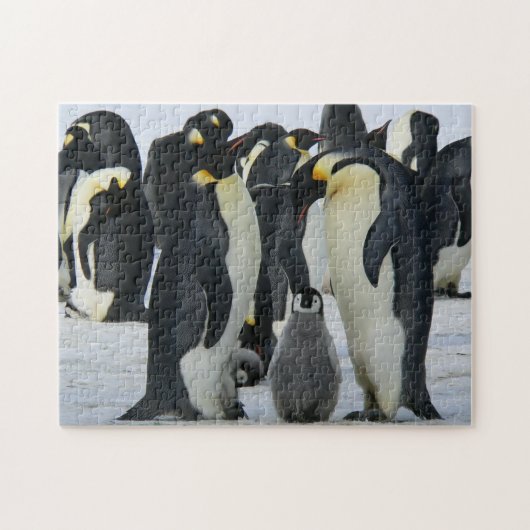 pinguïns legpuzzel (Horizontaal)
