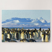 pinguïns legpuzzel (Horizontaal)