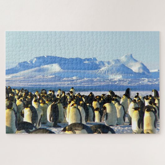 pinguïns legpuzzel (Horizontaal)