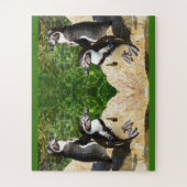pinguïns legpuzzel (Verticaal)