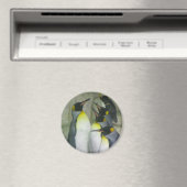 Pinguïns, magneet (Insitu (Vaatwasser))
