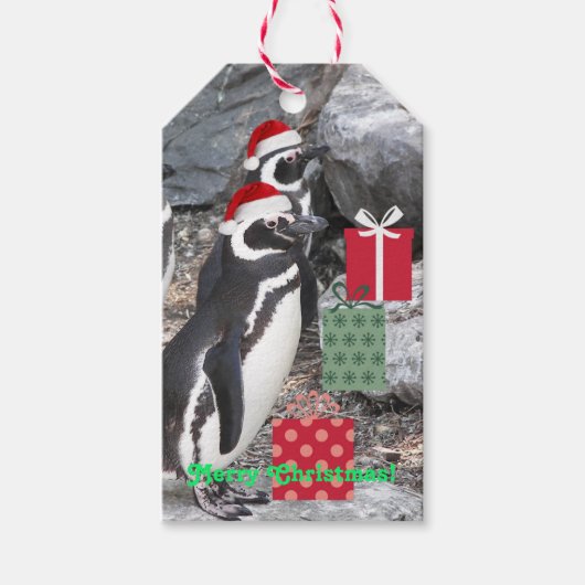 Pinguïns met rode kerstmutsen op vakantie cadeaulabel (Voorkant)