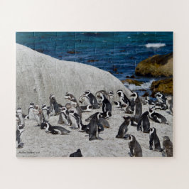 Pinguïns op de baai van Boulders Legpuzzel