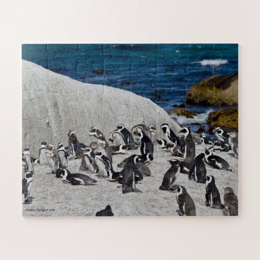 Pinguïns op de baai van Boulders Legpuzzel (Horizontaal)