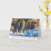 Pinguïns op de dierentuinverjaardagskaart kaart (Gele Bloem)