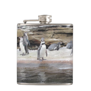 Pinguïns op de rotsen heupfles