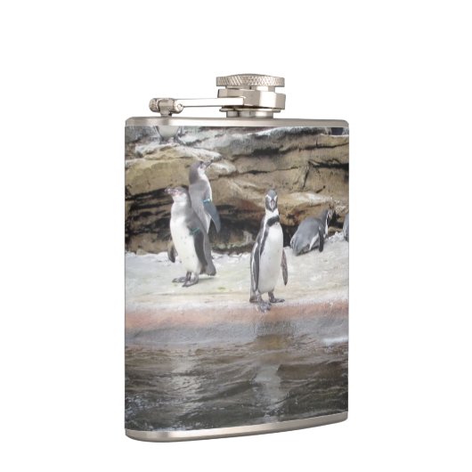 Pinguïns op de rotsen heupfles (Rechts)