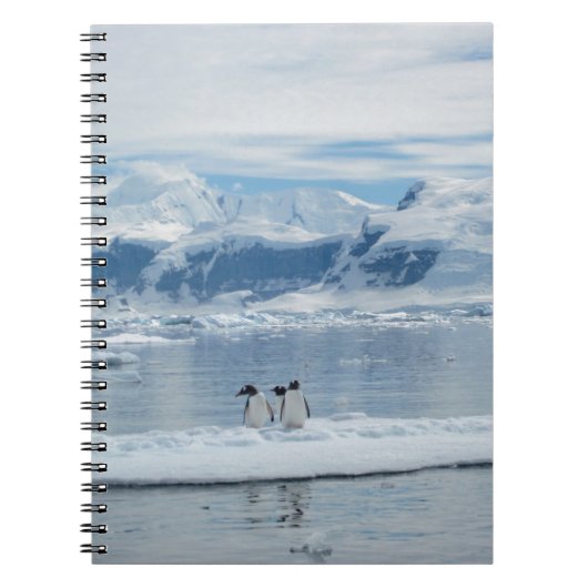 Pinguïns op een ijsberg notitieboek (Voorkant)