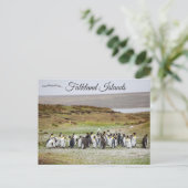 Pinguïns op Falklandeilanden Briefkaart (Staand voorkant)