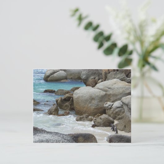 Pinguïns op het strand briefkaart (Staand voorkant)