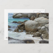 Pinguïns op het strand briefkaart (Voorkant / Achterkant)