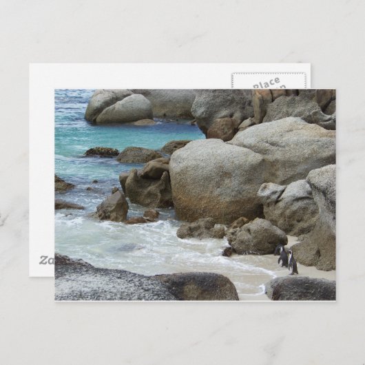 Pinguïns op het strand briefkaart (Voorkant / Achterkant)