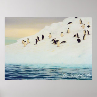 Pinguïns op ijs, afdrukken poster