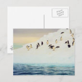Pinguïns op ijs, briefkaart (Voorkant / Achterkant)
