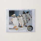 Pinguïns op ijs in dierentuin, leeftijd 6, Sardine Legpuzzel (Horizontaal)