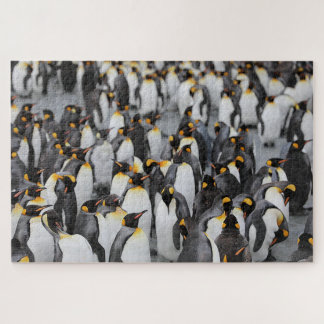Pinguïns op ijs legpuzzel