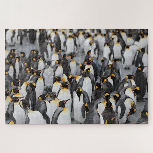Pinguïns op ijs legpuzzel (Horizontaal)